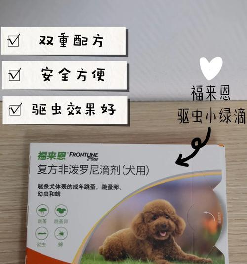 如何正确给新买的小狗驱虫