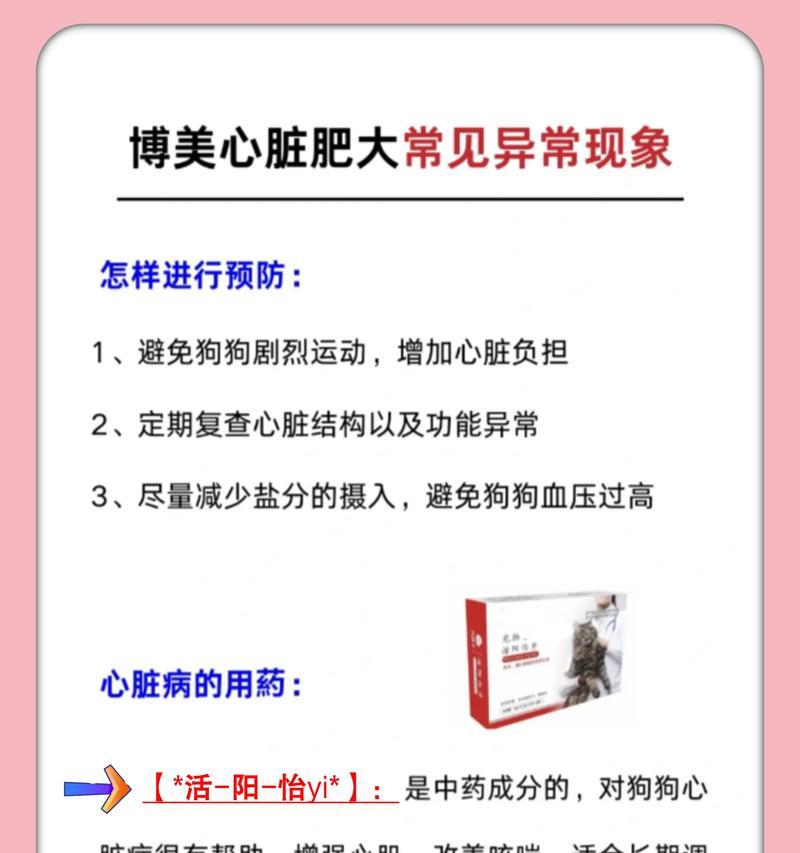 博美犬容易生什么病？（了解博美犬常见疾病，保护爱宠健康）