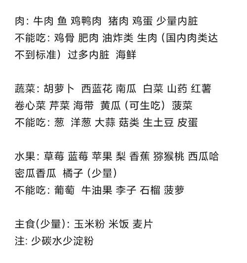 狗狗感冒了应该吃什么饭？（为你的爱犬提供正确的饮食，帮助它战胜感冒）