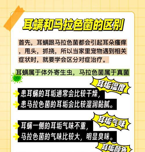 猫耳螨症的原因与治疗方法（揭秘猫耳螨症的成因，探索治疗方案）