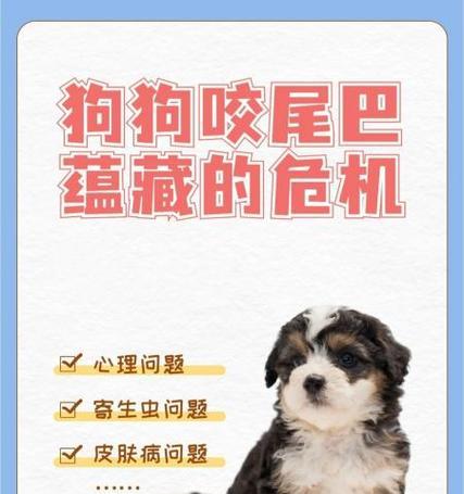 狗咬爪子的原因及处理方法（了解狗咬爪子的原因，帮助狗狗摆脱这一行为习惯）