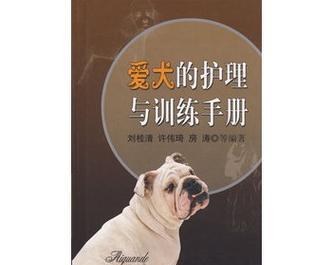 如何训练你的狗狗（从犬种到训练技巧，帮助你找到最适合你和你的狗狗的培训指南！）