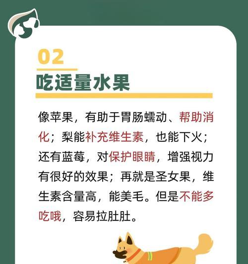 如何科学合理地给满月的金毛犬选择食物（为你的金毛犬提供均衡营养的饮食，让它健康茁壮成长）