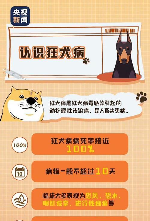为什么要给狗狗打狂犬疫苗？（保护狗狗免受狂犬病威胁，防止传播给人类）