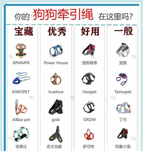 选择适合小狗的牵引绳（如何挑选合适的小狗牵引绳？）
