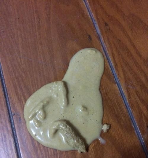 金毛幼犬为什么会拉肚子？（常见原因及应对方法）