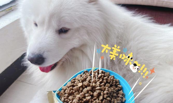 缓解狗狗消化不良的秘密武器（发现一种能够改善狗狗消化不良的天然宝藏）