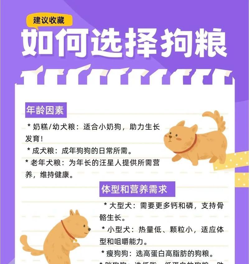 阿拉斯加犬的饮食指南（了解阿拉斯加犬的饮食需求，打造健康的饮食计划）