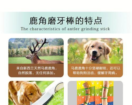 磨牙棒的神奇之处（宝宝的最佳伴侣，它能用到什么时候？）