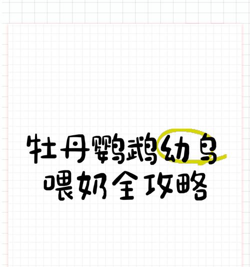 刚出生的牡丹鹦鹉的饮食要求（从嫩嘴到健康成长，合理营养为关键）