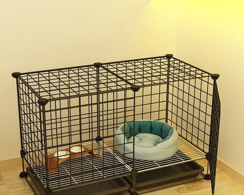 猫在笼子里的不安行为（探究猫咪在笼子中来回走动的原因与解决方法）