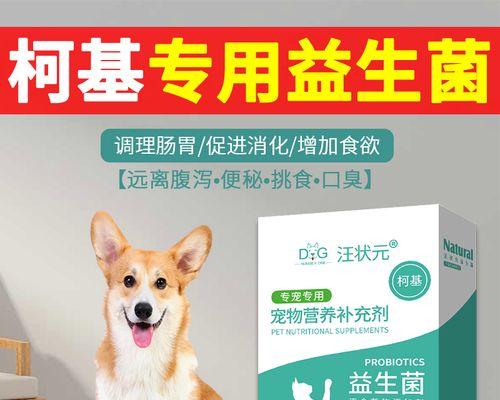 狗狗生宝宝后的饮食需求（确保母狗健康与宝宝成长）
