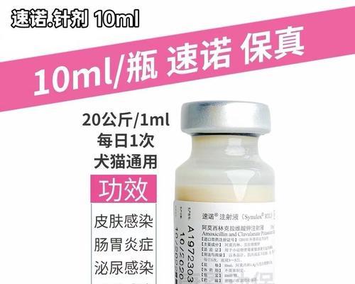 狗狗呼吸道感染的治疗药物指南（选择适用于狗狗呼吸道感染的药物及其注意事项）