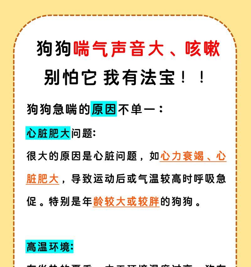 狗狗深呼吸的意义及好处（揭开狗狗深呼吸的神秘面纱，让你了解狗狗的内心世界）