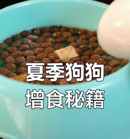 夏天狗狗的开胃美食（为你的宠物准备最适合夏季的口感美食）