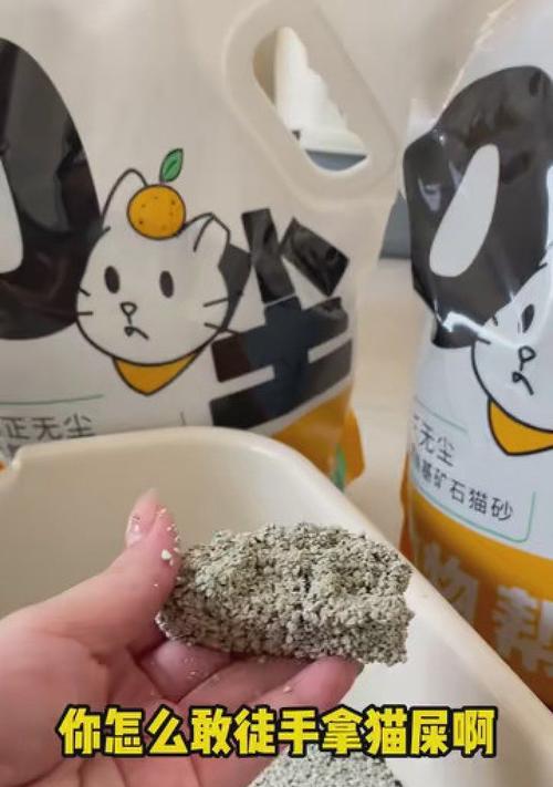 探究猫为什么会使用猫砂（猫砂的重要性与影响）