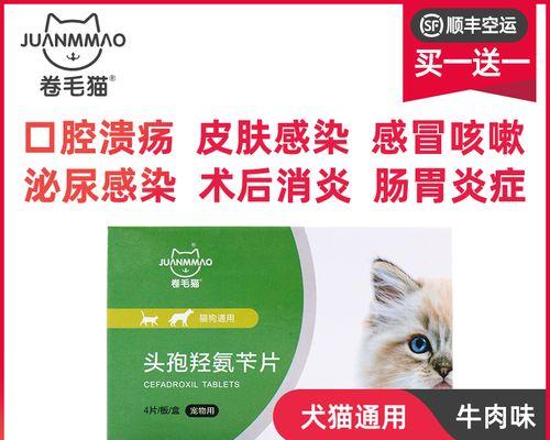 治疗狗狗窝咳的最佳药物选择（有效缓解狗狗窝咳的药物及其用途）