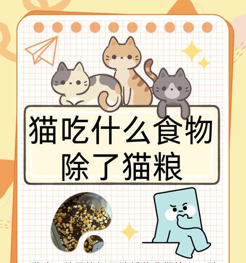 牙齿未长的猫如何正确喂养（营养均衡饮食是猫咪健康成长的关键）
