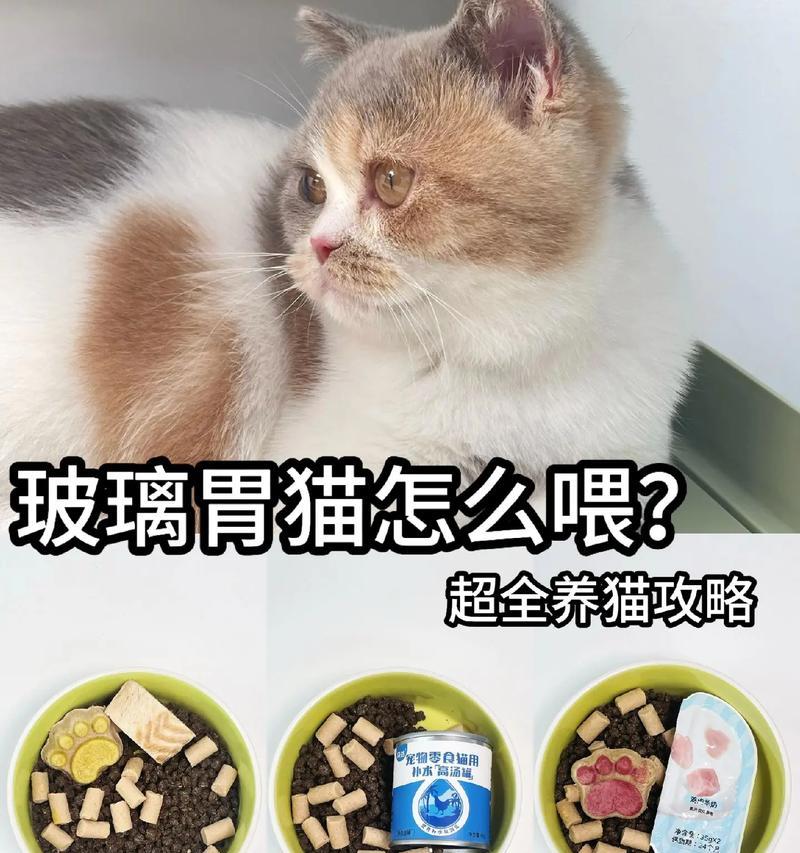 猫为什么挑食？（探究猫咪选择性进食的原因与解决方法）