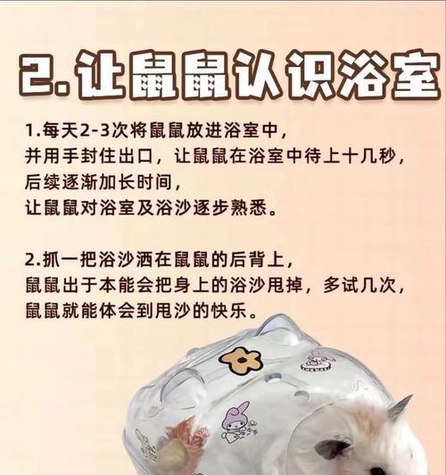 如何选择适合仓鼠的沐浴沙？（寻找适合仓鼠的沐浴沙品牌，为宠物提供安全与舒适）