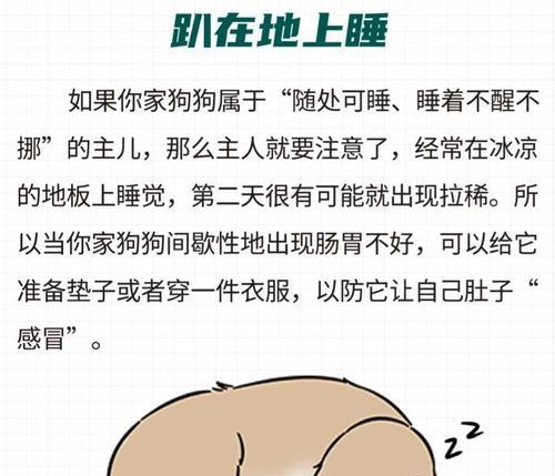 如何为肠胃不好的狗狗选择合适的饮食（从饮食开始，关心您的狗狗健康）