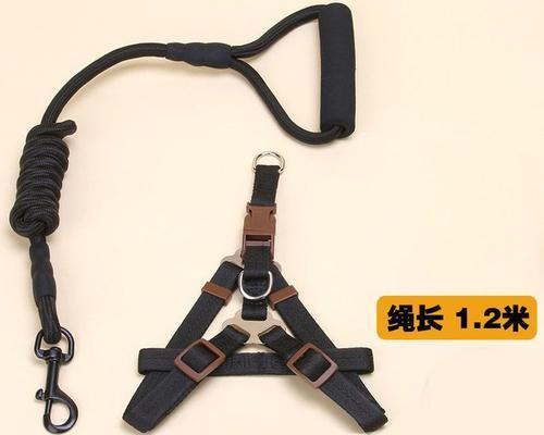 选择合适的牵引绳，让萨摩耶成为理想伴侣（探索最佳牵引绳材质，确保萨摩耶的安全和舒适）