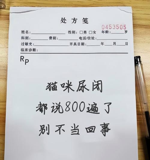 母猫尿少的原因及处理方法（了解母猫尿少的原因，有效帮助你的猫咪恢复健康）
