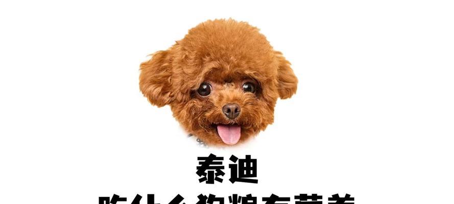 两个半月泰迪的饮食需求（探索适合小泰迪的健康饮食方案）