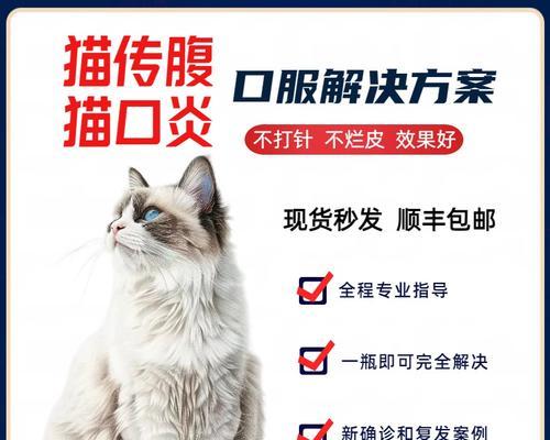 探究猫的腹膜炎（解析猫腹膜炎的危害以及如何预防）