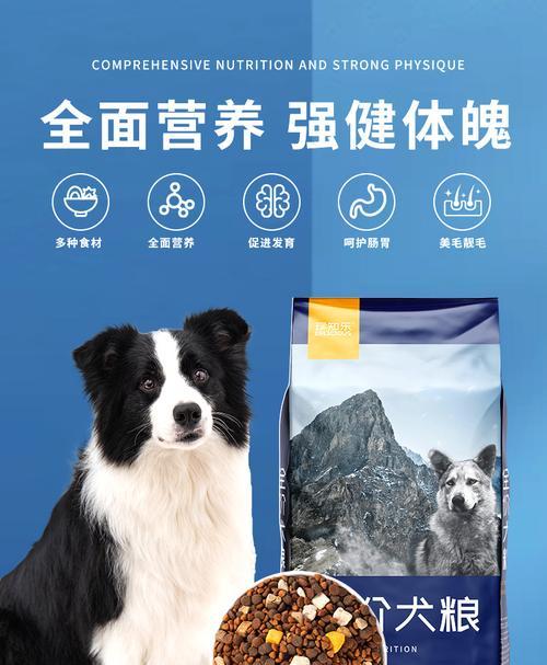 4个月边牧的饮食营养需求（科学搭配，健康成长）
