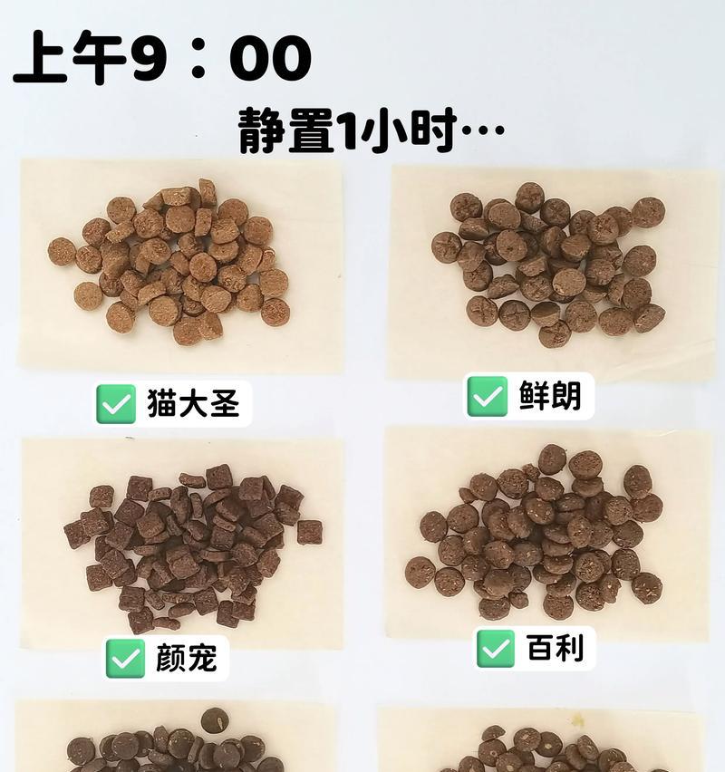 猫咪拉稀怎么办？15个实用方法帮助你解决问题（猫咪拉稀的原因及治疗方法，让你的猫咪恢复健康）