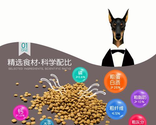 如何为恶霸犬提供最佳的补钙方式（了解恶霸犬所需的关键营养元素和补钙方案）