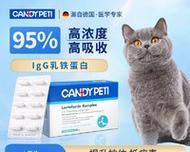 猫手术后的消炎药选择指南（选择适合的消炎药，促进猫儿迅速康复）