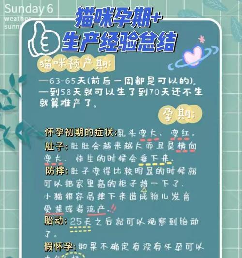 养猫必读（关爱无微不至，打造幸福猫咪家庭）