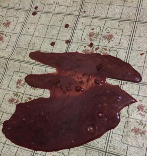 如何治疗狗狗细小并防止贫血？（详解细小病毒的治疗方法和预防措施）