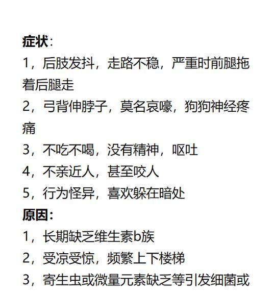 狗走路后腿跳，疑似存在什么病？（探讨狗走路后腿跳的原因及治疗方法）