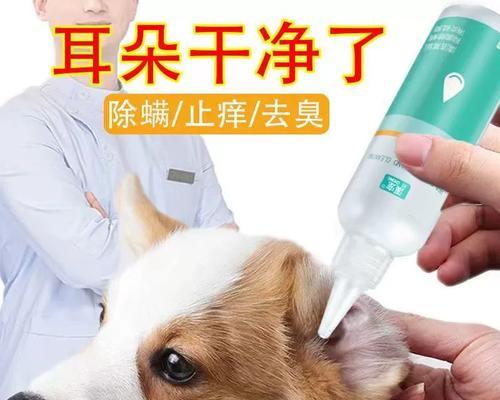 猫的耳朵清洁与保养（用什么方法来清理你的猫咪耳朵？）