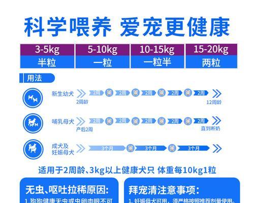 以泰迪驱虫的注意事项（保护宠物健康的必要措施）
