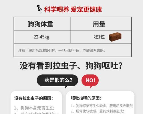 以犬心保有的重要性（如何以犬心保有？）