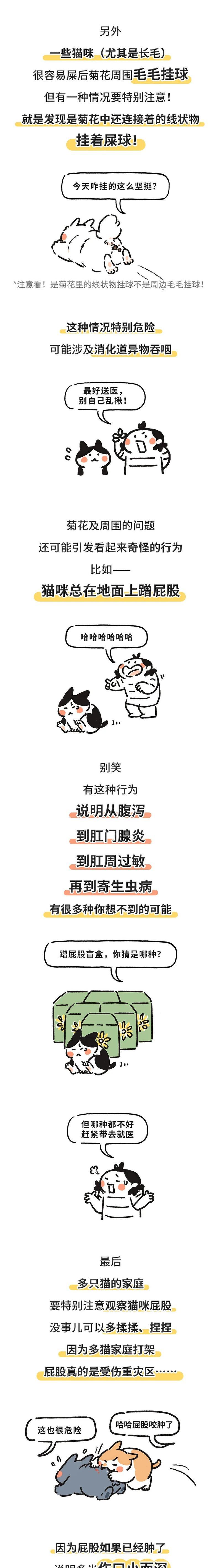 猫为什么老是舔菊花？（解析猫咪舔菊花的原因及行为意义）