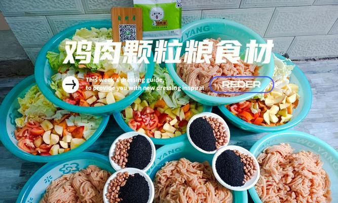 靓贝狗粮——为宠物健康定制的优质商品粮（以高品质原料打造，给爱宠更好的营养保障）