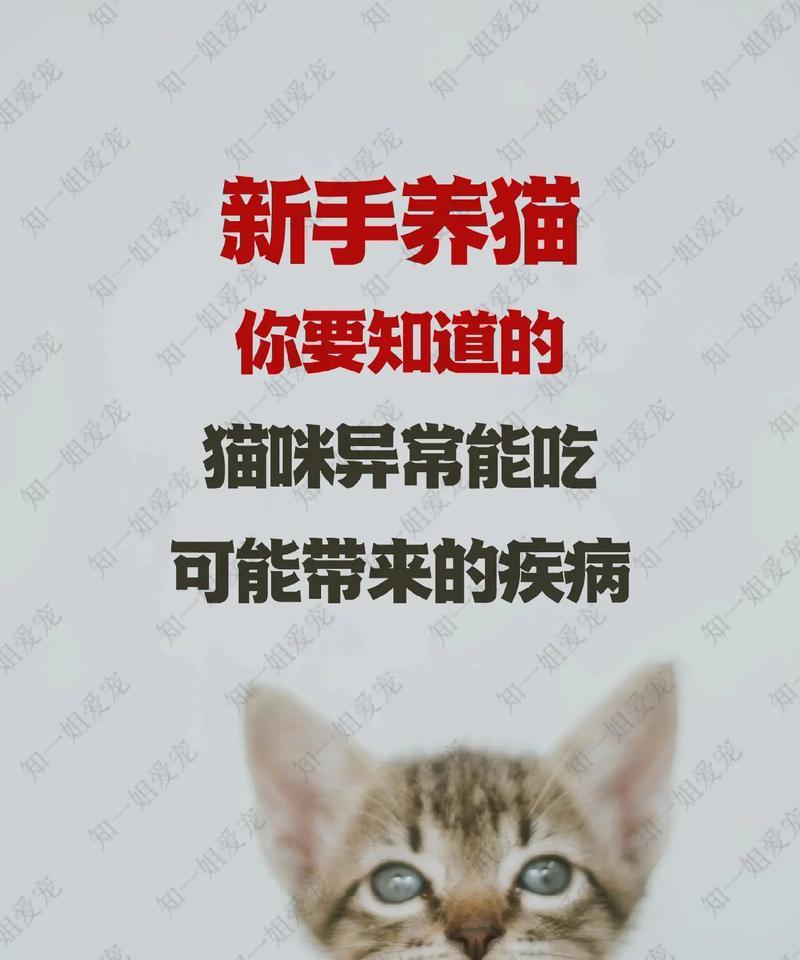 小猫为什么总是要吃？（探究小猫饮食习惯的原因）