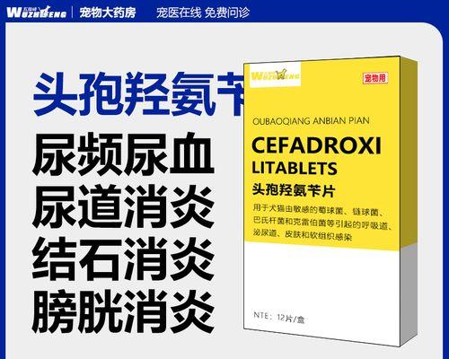 狗狗消炎药的选择与使用（保护毛孩健康，正确使用消炎药）