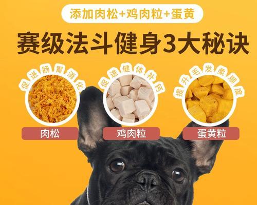以法斗吃什么狗粮不臭（选择适合法斗的狗粮品牌及饲养要点）