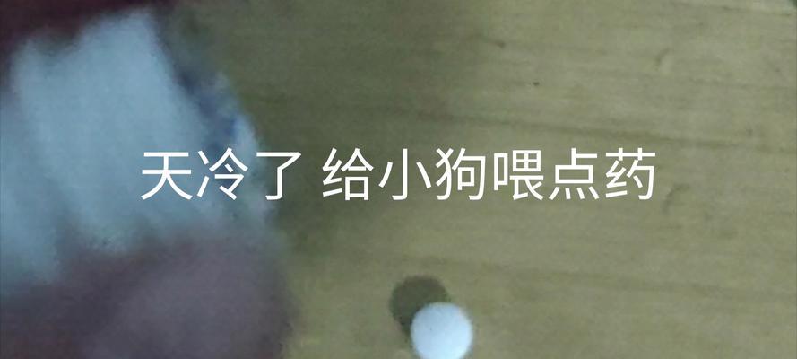 小狗生病了，怎么办？（了解小狗生病常见的症状及治疗方法）