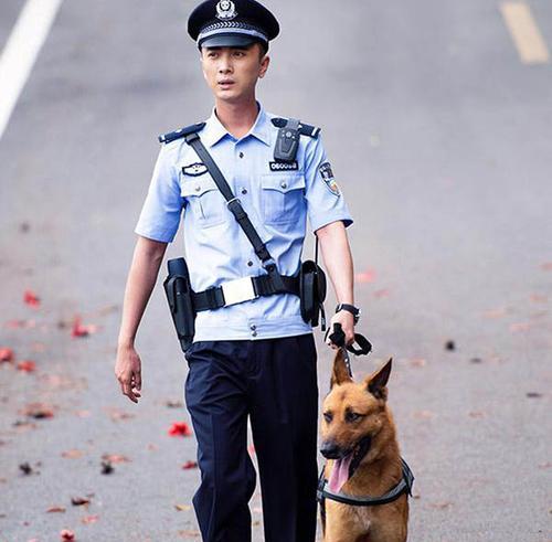 警犬繁殖的关键时刻（探索警犬繁殖的最佳时机和方法）