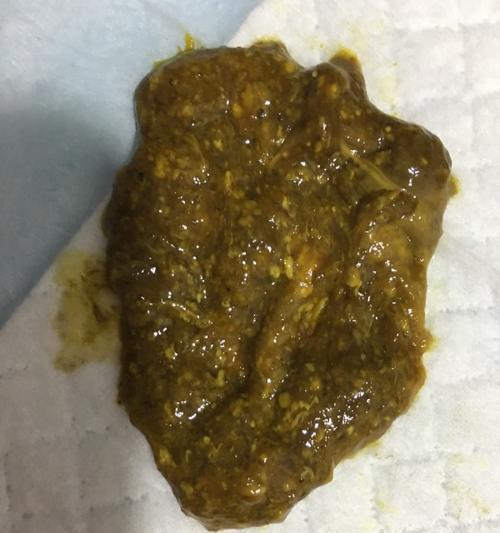 狗狗大便有虫子的原因及预防方法（狗狗常见的肠道寄生虫和防治措施）