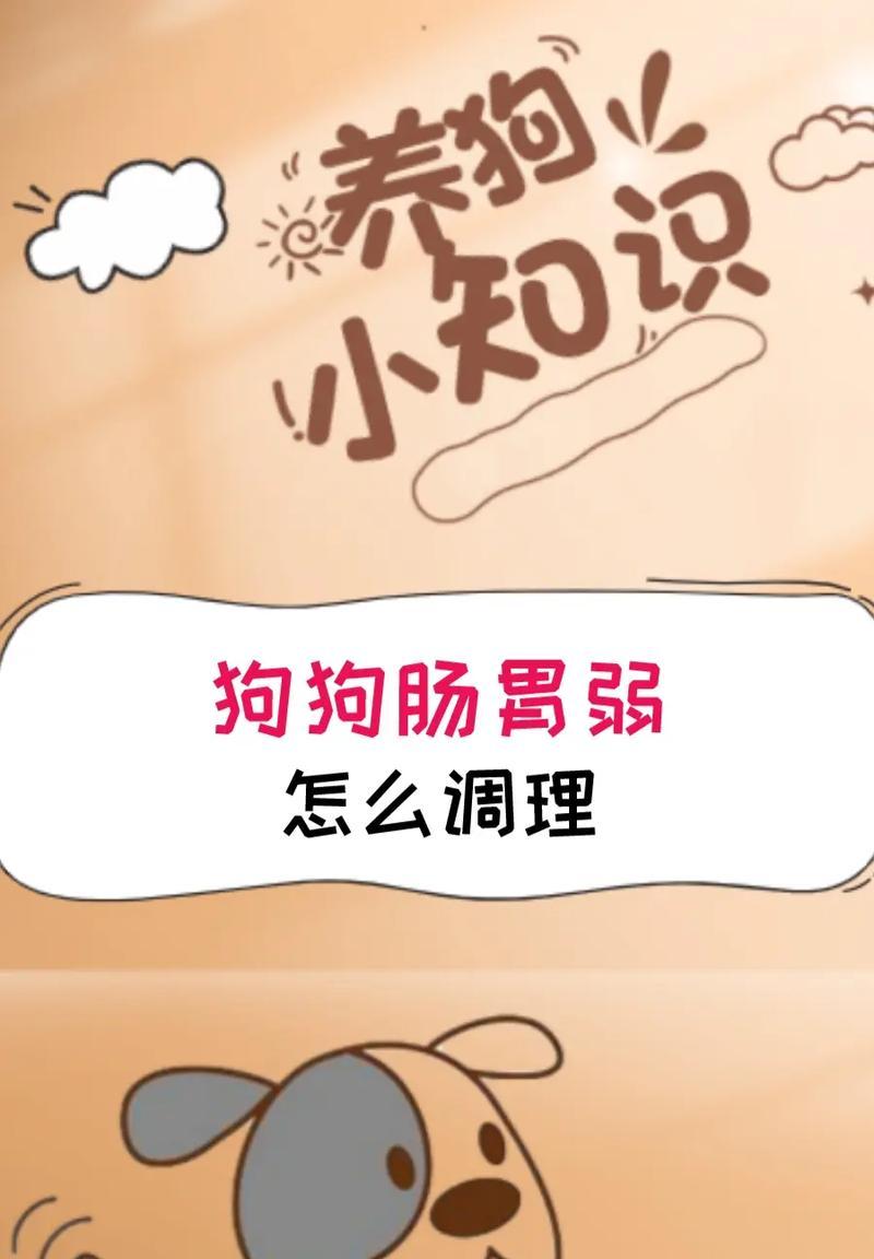 狗虚弱时的饮食调理方法（为狗提供适宜的营养以加快康复）