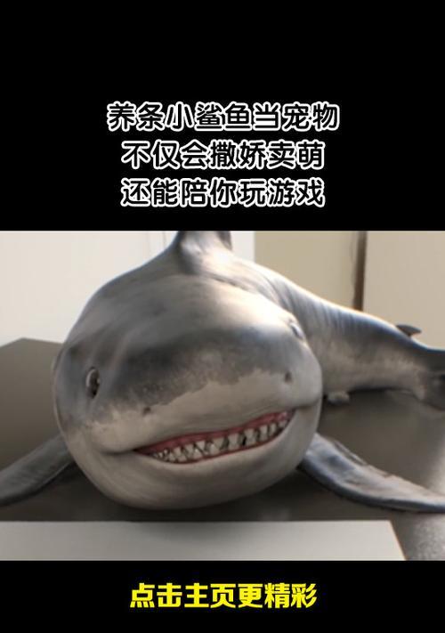 如何养鲨鱼（了解鲨鱼养殖的必备条件和技巧）