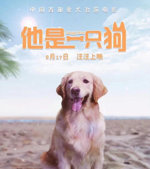 以8字合犬代表什么数字？（解读狗年的数码密码）